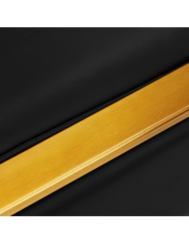 Poltrona per parrucchieri Gabbiano Acri gold -...