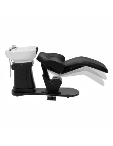 Gabbiano lavaggio elettrico per parrucchieri...