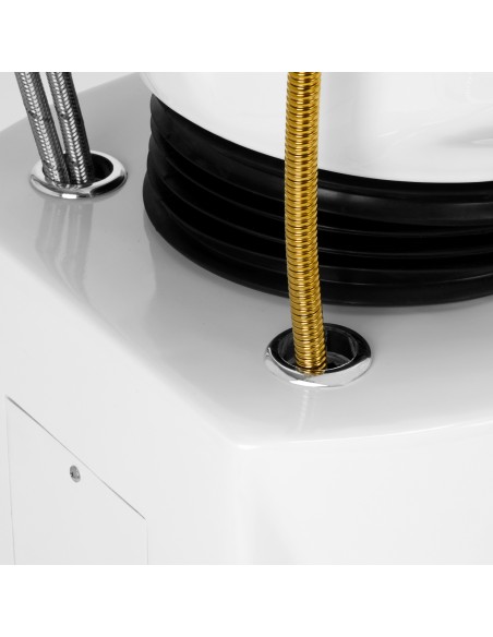 Gabbiano barbiere lavaggio Berlino oro bianco