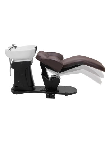 Gabbiano lavaggio elettrico per parrucchieri...