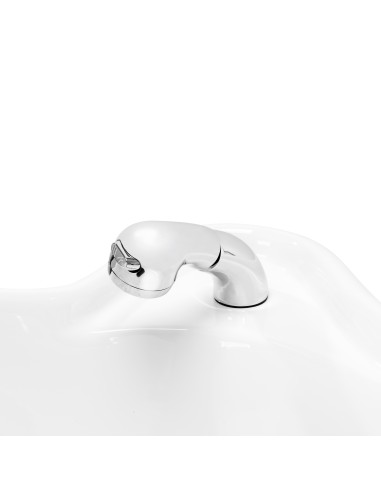 Gabbiano lavaggio elettrico per parrucchieri...