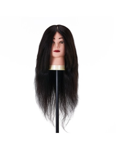 Testa di formazione per parrucchieri Gabbiano...