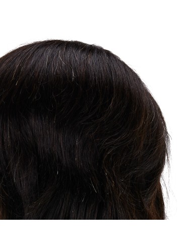 Testa di formazione per parrucchieri Gabbiano...