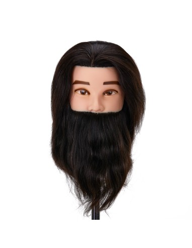 Gabbiano WZ4 testa di formazione barba in...