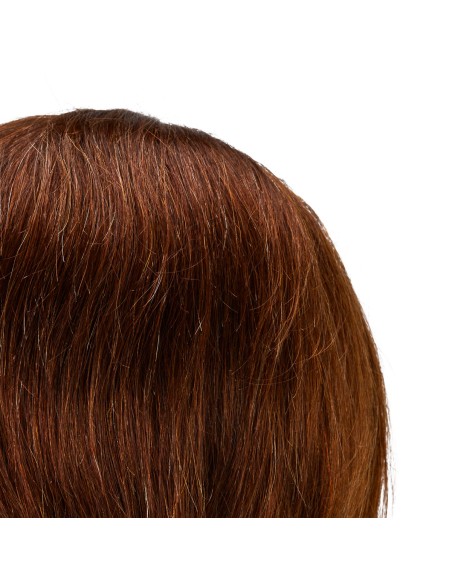 Gabbiano WZ4 testa di allenamento per barba in capelli naturali, colore 4H, lunghezza 8""+6""