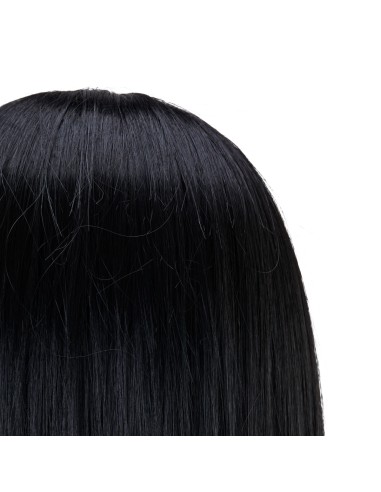 Gabbiano barba training head WZ4 capelli...