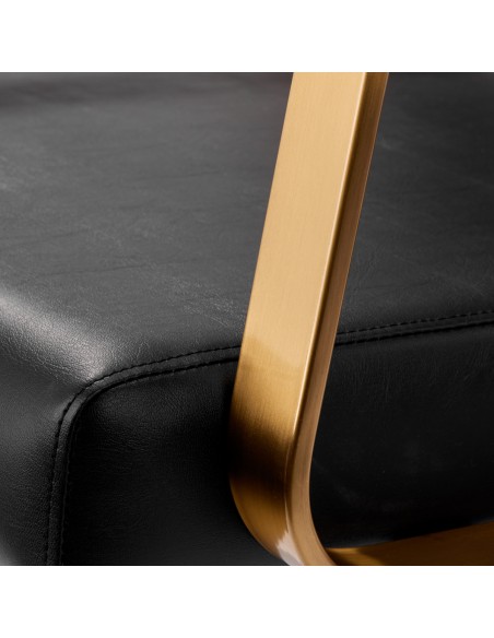 Sapone per parrucchieri Gabbiano Porto oro nero