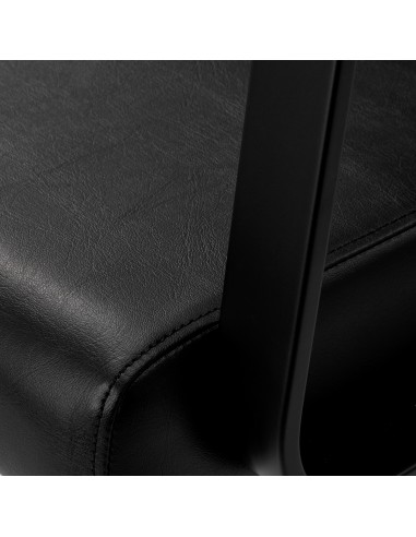 Sapone per parrucchieri Gabbiano Porto nero nero