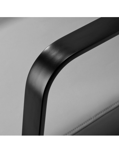 Sapone per parrucchieri Gabbiano Porto nero e...