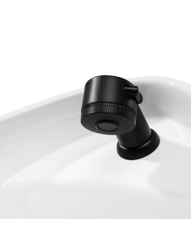 Sapone per parrucchieri Gabbiano Porto nero e...