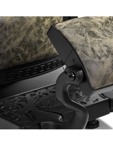 Sedia da barbiere Gabbiano President Old...