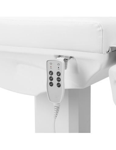 Azzurro 803D poltrona cosmetica elettrica a 3...