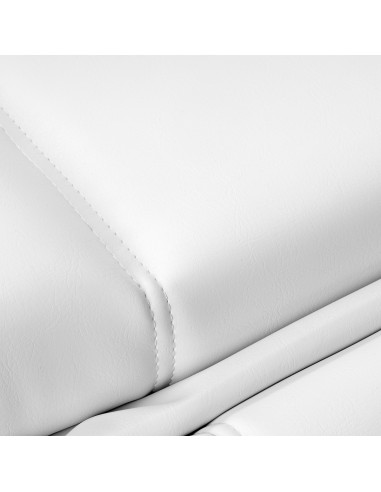 Azzurro 803D poltrona cosmetica elettrica a 3...