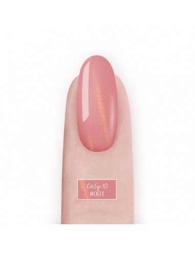 Smalto semipermanente Cat Eye 5D #001 NaiLac 7ml