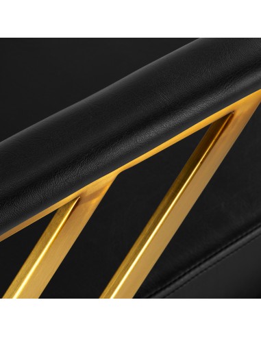 Poltrona da parrucchiere Gabbiano Genova oro nero