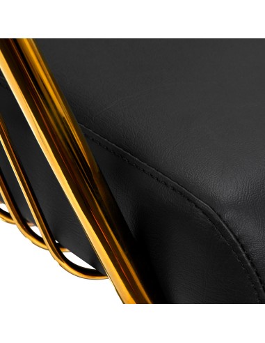 Sedia da parrucchiere Hair System Lille oro nero