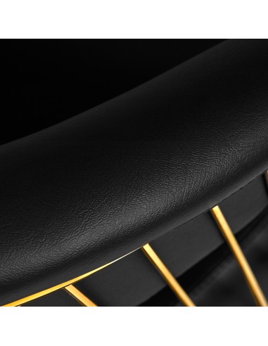 Sedia da parrucchiere Hair System Lille oro nero