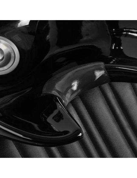 Gabbiano Barbiere Patrizio Nero