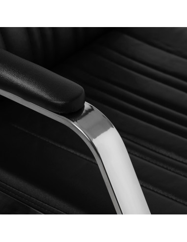 Gabbiano Barbiere Patrizio Nero