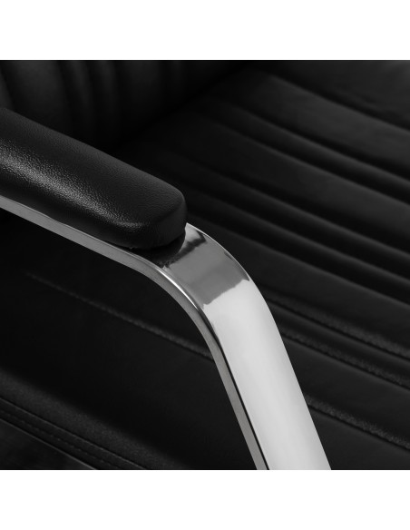 Gabbiano Barbiere Patrizio Nero