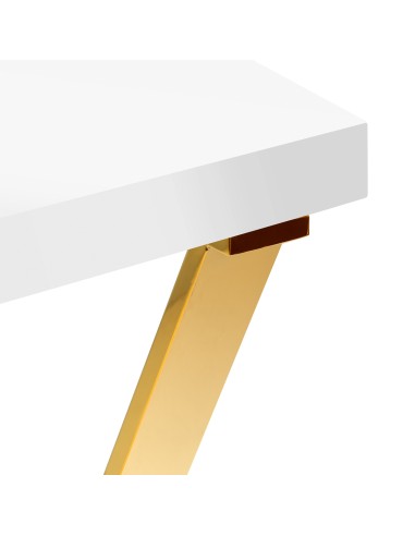 Banco cosmetico MOMO 04-GL con assorbitore