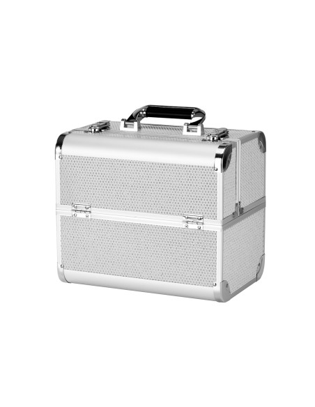 Astuccio cosmetico SC 44 argento