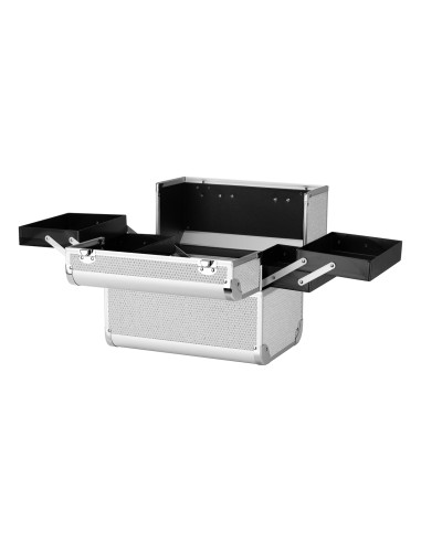 Astuccio cosmetico SC 44 argento