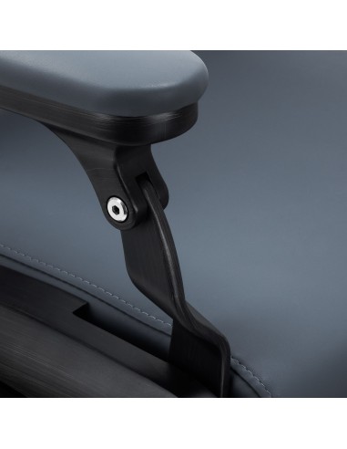 Sedia da barbiere Gabbiano Francesco in grafite...