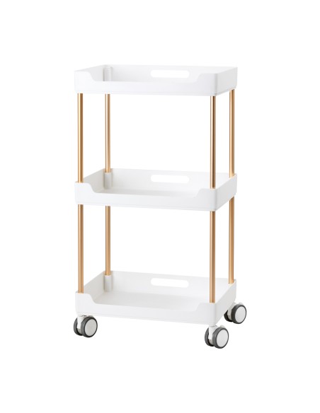 Assistente cosmetico 127