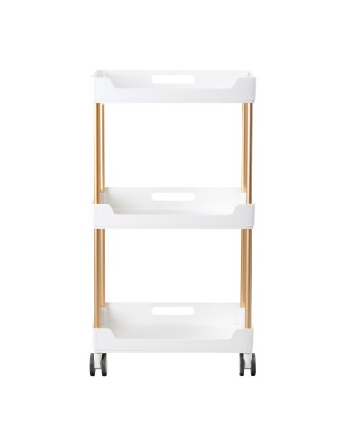 Assistente cosmetico 127