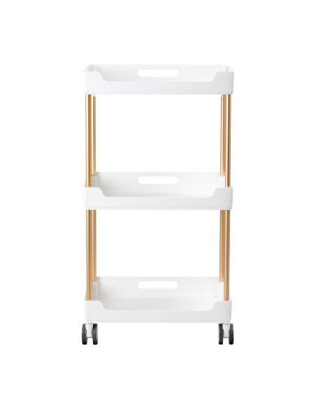 Assistente cosmetico 127