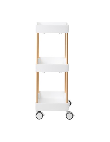 Assistente cosmetico 127