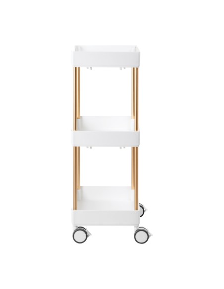 Assistente cosmetico 127