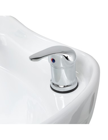 Gabbiano lavaggio parrucchieri grigio Ankara