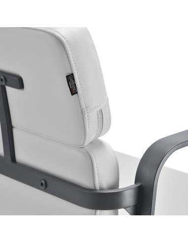 Poltrona da parrucchiere Gabbiano Porto grigio...