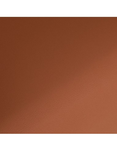 Gabbiano poltrona da parrucchiere Elda Marrone