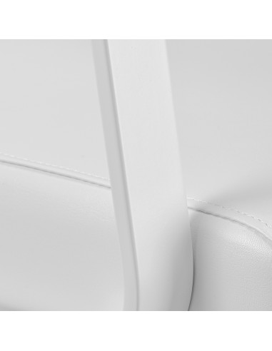 Sapone per parrucchieri Gabbiano Porto bianco...