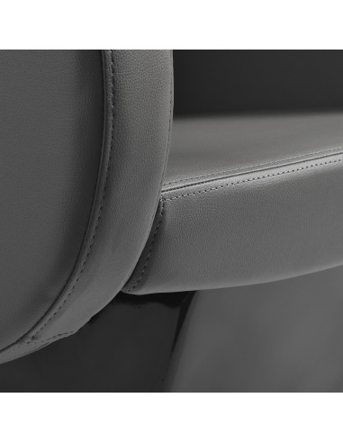 Gabbiano lavabo da parrucchiere C099 Grigio