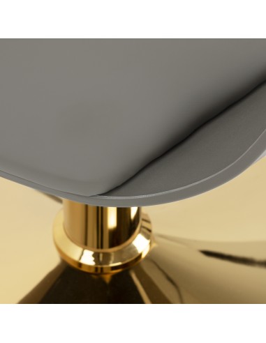 Poltrona da parrucchiere Hair System Halo grigia