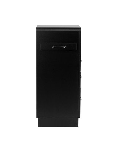 Gabbiano Assistente parrucchiere 2027B