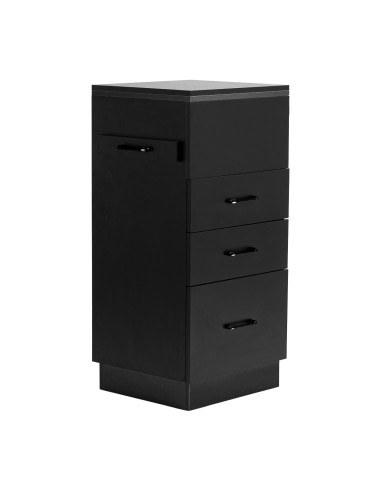 Gabbiano Assistente parrucchiere 2027B