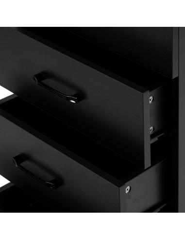 Gabbiano Assistente parrucchiere 2027B