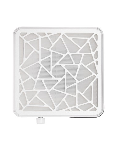 Assorbitore di polveri Momo P10 pro