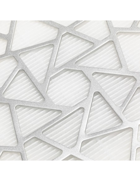 Assorbitore di polveri Momo P10 pro