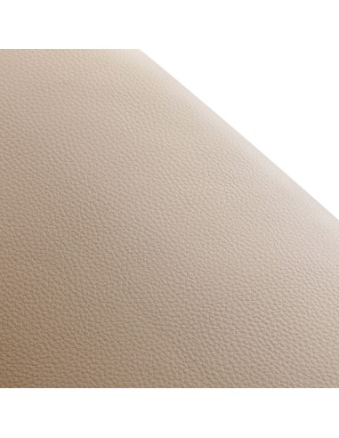 Poltrona da parrucchiere Omega Astra Plus beige