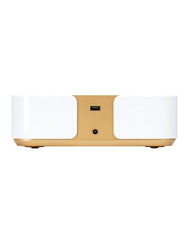 Soffitto a incasso MOMO P30 60W dorato