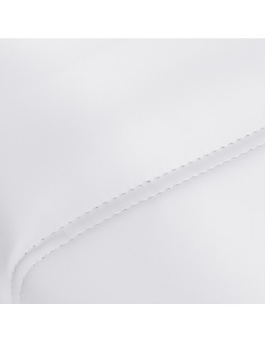 Poltrona da salone elettrica Azzurro 708A a 4...