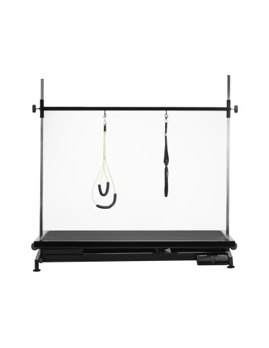 Tavolo da toelettatura elettrico PAW 1 nero