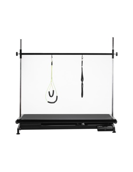 Tavolo da toelettatura elettrico PAW 1 nero