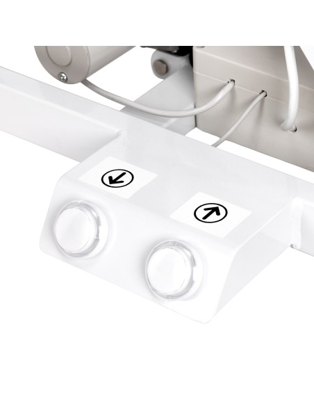 Tavolo da toelettatura elettrico PAW 3 con illuminazione bianco